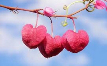Đừng chuốc lấy khổ đau